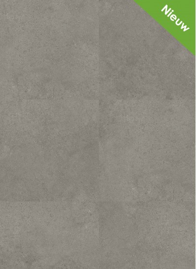 Flash 2200 (dryback) Flash 2200 (dryback)