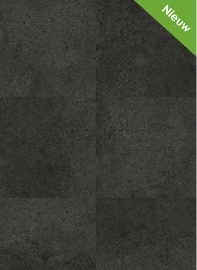 Flash 2201 (dryback) Flash 2201 (dryback)