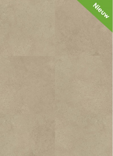 Flash 2202 (dryback) Flash 2202 (dryback)