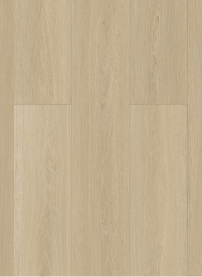 Highland 2502 (dryback)