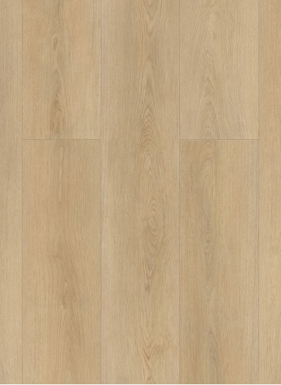 Highland 2503 (dryback)