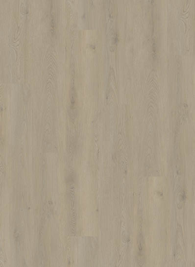 Mystiq 1803 (dryback)