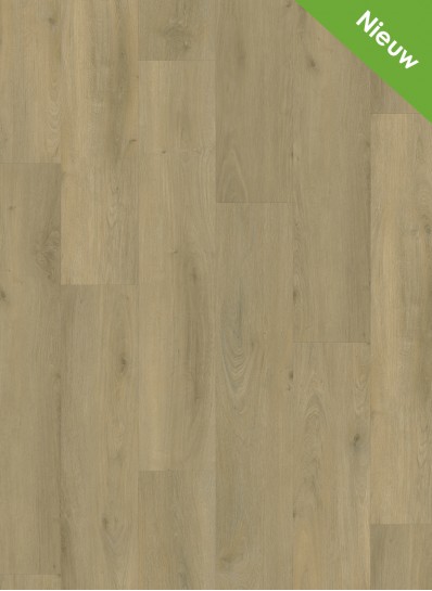 Purio 1040 (dryback)
