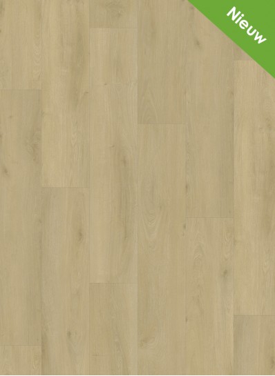 Purio 1041 (dryback)