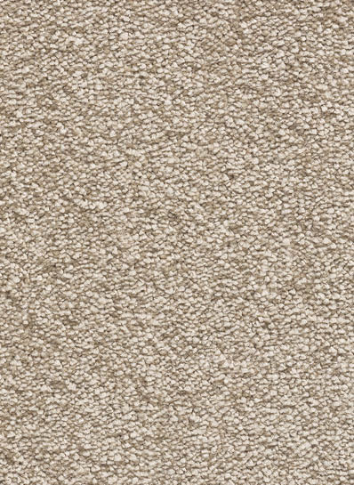 Euphoria SDN 72 Euphoria SDN 72