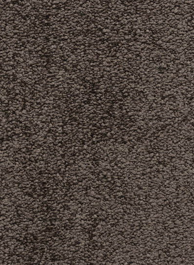 Euphoria SDN 91 Euphoria SDN 91