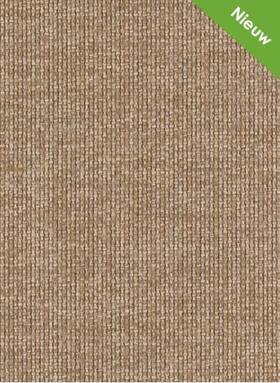 Jutta 334