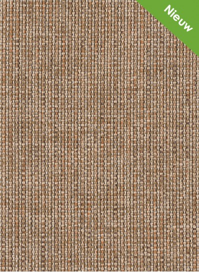 Jutta 364